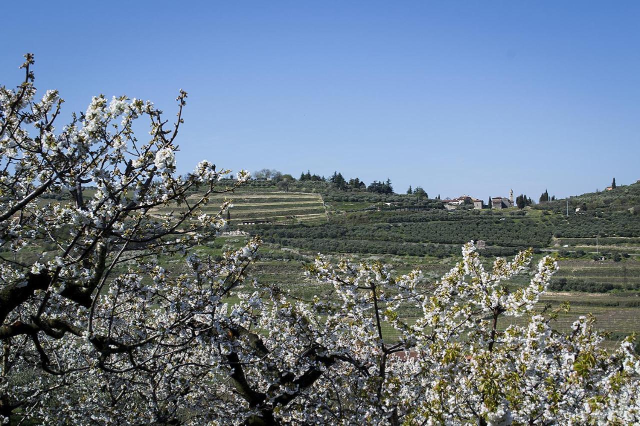 Villa Di Cazzano - Bioluxury Living Soave  Exterior foto